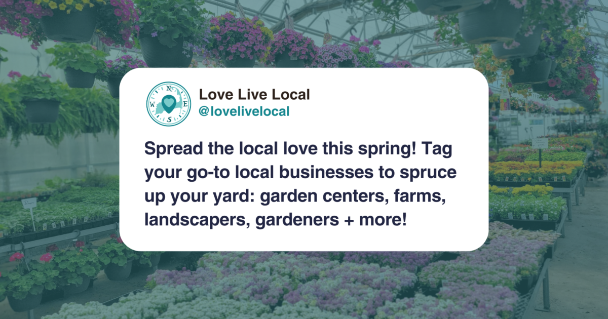 Shop Local Spring Local Love for Spring Spruce | Love Live Local