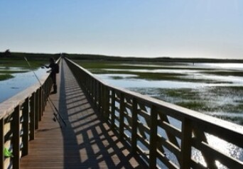 Sandwich Boardwalk Small