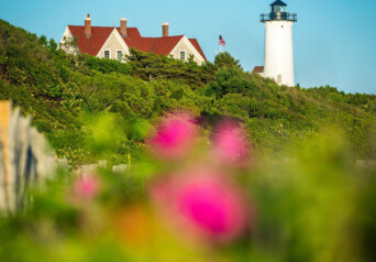 Copy of Upper Cape Nobska Light Falmouth