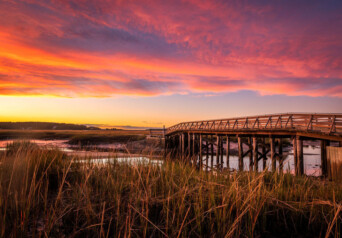 Copy of Outer Cape Wellfleet Lieutenants