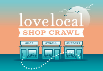 Shop Crawl SEO image