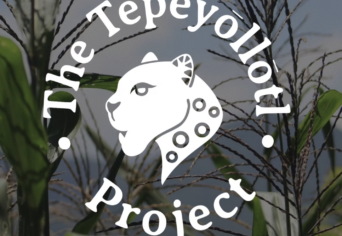 Tepeyollotl Project