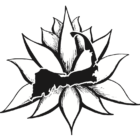 Black Lotus Logo