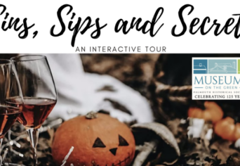Sins Sips Secrets Nov 2026