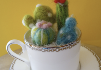 Cactuc Oct2026