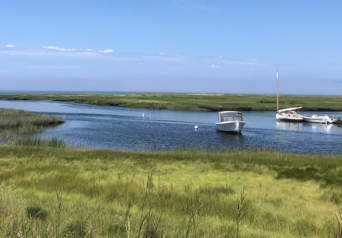 Yarmouth Port LLFG