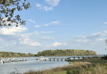 Mashpee neck photo