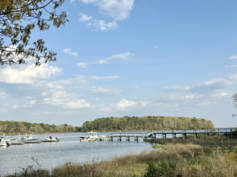 Mashpee neck photo