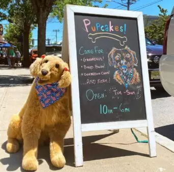 Dog in front of the sign