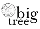 BIG TREE LOGO