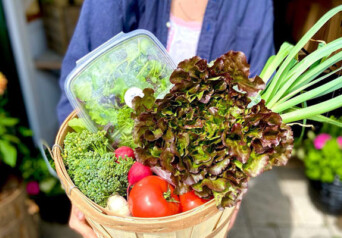 Basket full of farm veggies