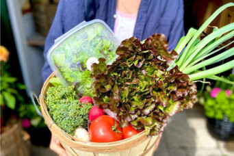 Basket full of farm veggies