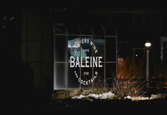 Beleine Website