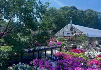 The Farm directory