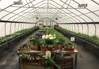 Matts Organic Cover