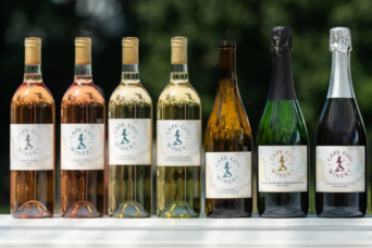 Cape Cod Winery Cover