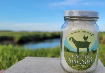 Great Marsh Farm Cover Photo