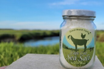 Great Marsh Farm Cover Photo