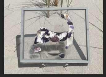 81b045ea 55df 46d4 83d9 72dd4c15ac8a field 51 IMG 7944