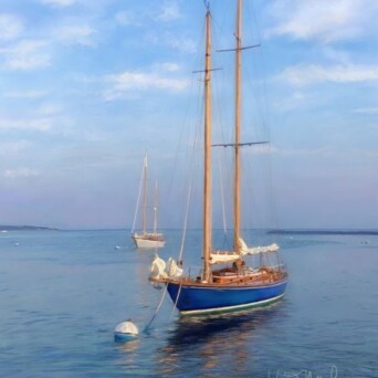 Hydrangea Boat