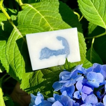 Manda Hydrangea