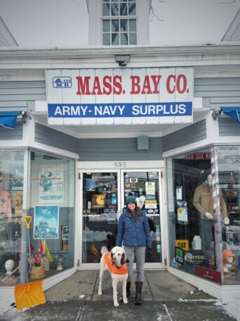 Mass Bay Doggo