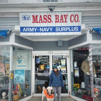 Mass Bay Doggo