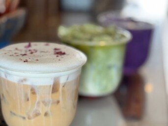 Harbor Fox Lattes