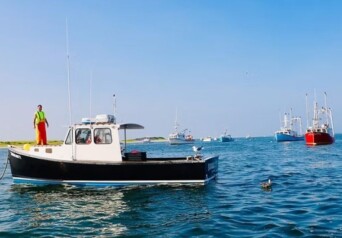 Chatham Harvesters Cover