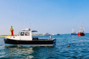 Chatham Harvesters Cover