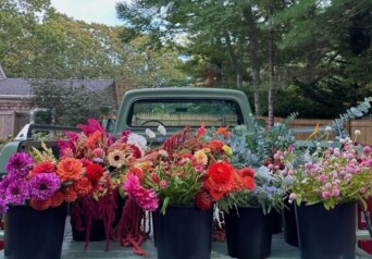 Bass River Blooms Cover