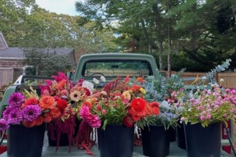 Bass River Blooms Cover