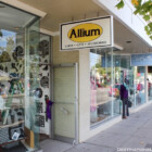 Allium Logo