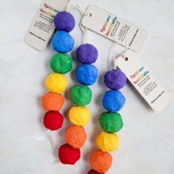 Franky Rainbow Seed Ball