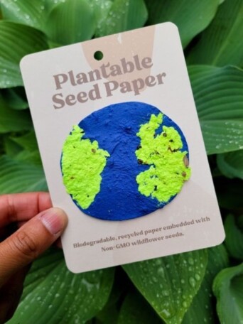 Franky Seed Paper