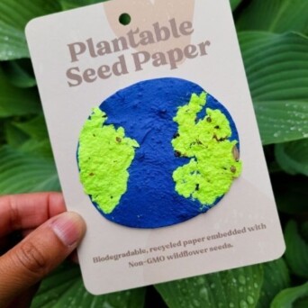 Franky Seed Paper
