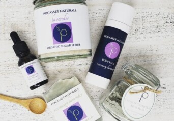 Pocasset Naturals Cover