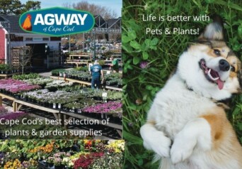 Agway Cover