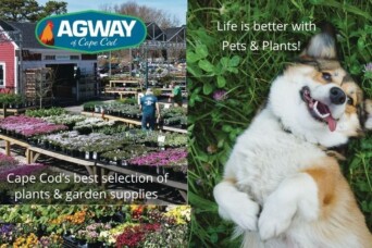 Agway Cover
