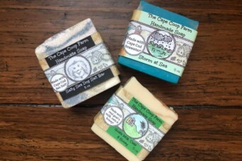 Cape Coop Farm Cover