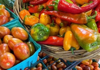 Bartletts Farm Cover