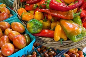 Bartletts Farm Cover