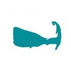 Cape Cod Whale Co Logo