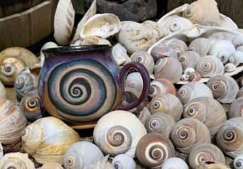 Stargazer Pottery Cover