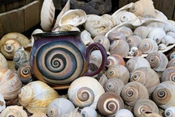 Stargazer Pottery Cover