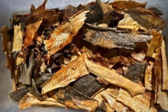 High Tide Dog Treats Cover