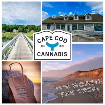 Cape Cod Cannabis Picture