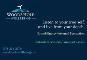 Woods Hole Wellbeing Cover