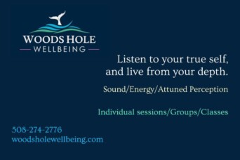 Woods Hole Wellbeing Cover
