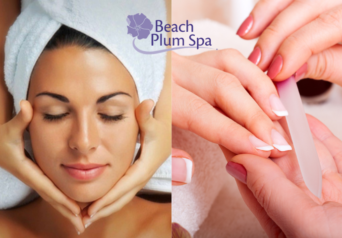 Beach Plum New Cover